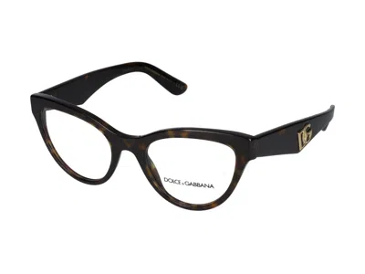 Dolce & Gabbana Eyeglasses In Brown