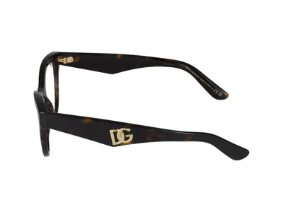Dolce & Gabbana Eyeglasses In Brown