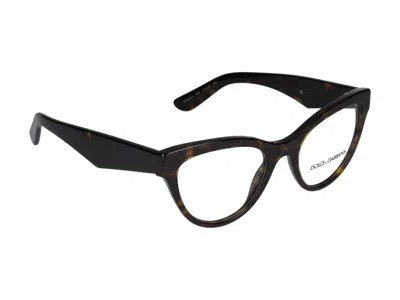 Dolce & Gabbana Eyeglasses In Brown