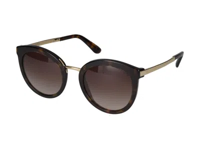 Dolce & Gabbana Sunglasses In Brown