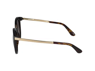 Dolce & Gabbana Sunglasses In Brown