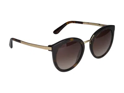 Dolce & Gabbana Sunglasses In Brown