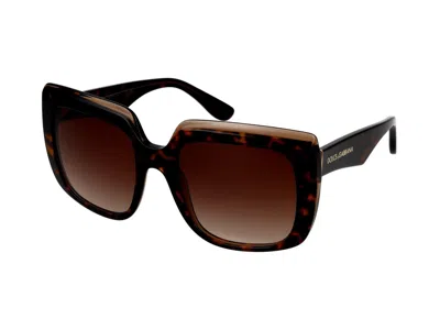 Dolce & Gabbana Sunglasses In Havana On Transparent Brown