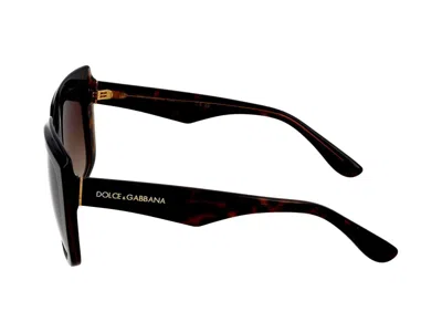 Dolce & Gabbana Sunglasses In Havana On Transparent Brown