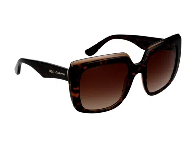 Dolce & Gabbana Sunglasses In Havana On Transparent Brown