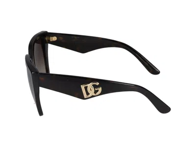 Dolce & Gabbana Sunglasses In Brown