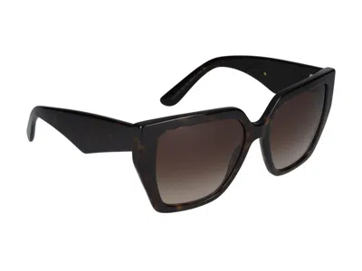 Dolce & Gabbana Sunglasses In Brown