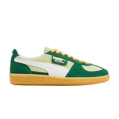 Pre-owned Puma Wmns Palermo 'pistachio Green Vine Gum'