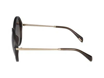 Police Sunglasses In Multicolor