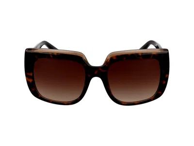 Dolce & Gabbana Sunglasses In Havana On Transparent Brown