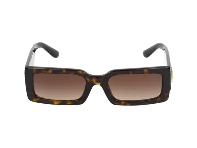 Dolce & Gabbana Sunglasses In Brown