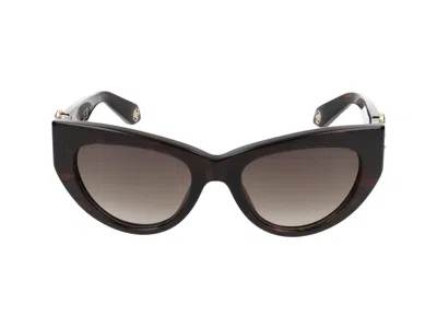 Roberto Cavalli Sunglasses In Dark Havana Glossy