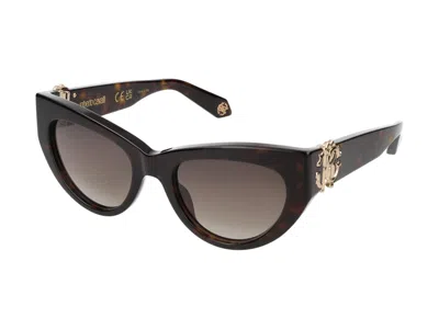 Roberto Cavalli Sunglasses In Dark Havana Glossy