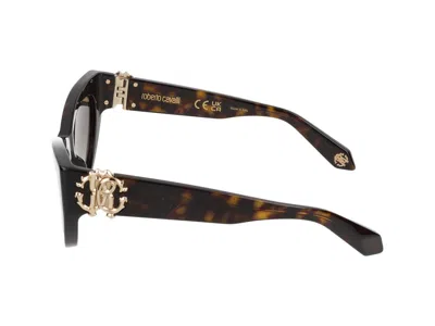 Roberto Cavalli Sunglasses In Dark Havana Glossy