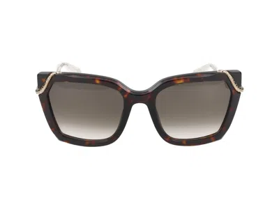 Roberto Cavalli Src034m Sunglasses In Havana Brown/yellow Glossy