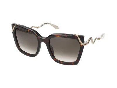 Roberto Cavalli Src034m Sunglasses In Havana Brown/yellow Glossy