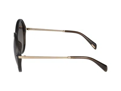 Police Sunglasses In Multicolor