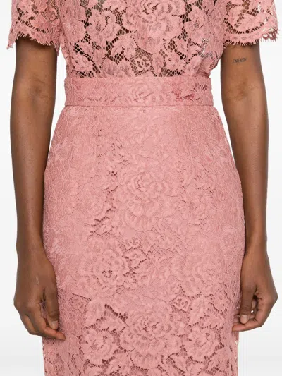 Dolce & Gabbana Lace Midi Skirt With Embroidered Logo In Powder