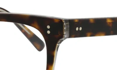 Maui Jim 50mm Square Optical Glasses In Tortoise Transparent