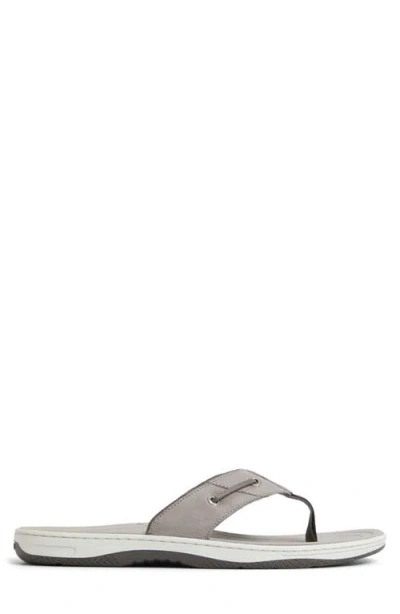 Sperry Baitfish Flip Flop In Gray