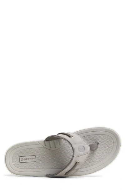 Sperry Baitfish Flip Flop In Gray
