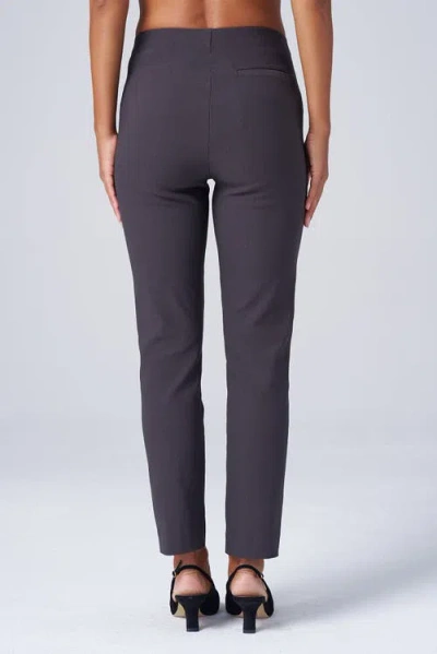 Franne Golde All Season Tapered Pull-on Stretch Pants In Blue