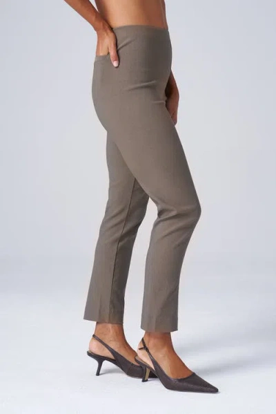 Franne Golde Slim Ankle Stretch Magic Pant In Gray