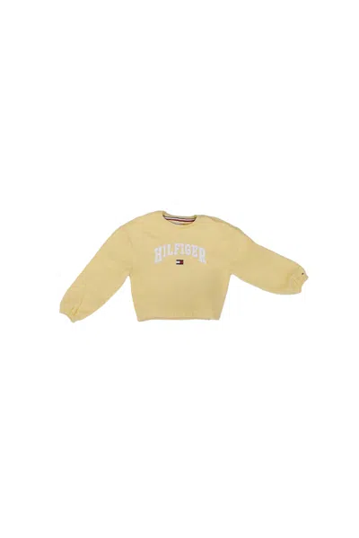 Tommy Hilfiger Sweaters In Citronella Green Verde