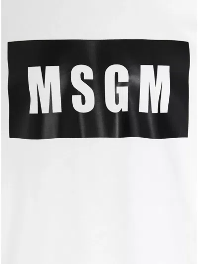 Msgm Cotton T-shirt In White