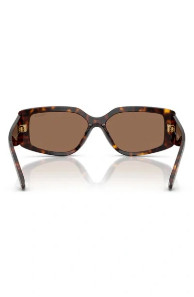 Vogue 55mm Rectangular Sunglasses In Dark Havana