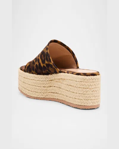 Gianvito Rossi Leopard Slide Flatform Espadrilles In Almond Leopard Print Naturale