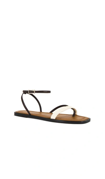 Atp Atelier Miane Sandals In Walnut & Ecru