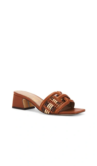 Sam Edelman Waylon Slide Sandal In 混棕色