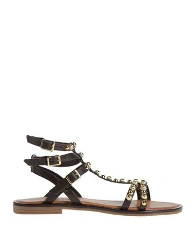 Diciottopiù Woman Sandals Dark Brown Size 7 Leather In Brown