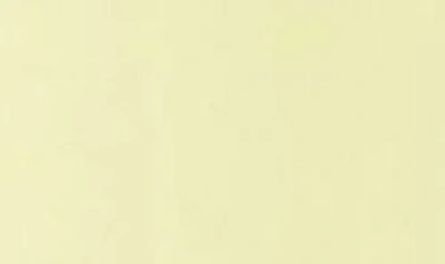 Diptyque Figuier (fig) Reed Fragrance Diffuser Refill In No Color