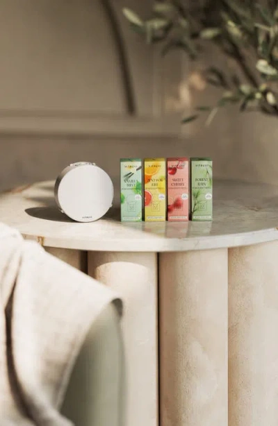 Vitruvi Forest Rain Push Plug-in Scent Refill In Vanilla Mint