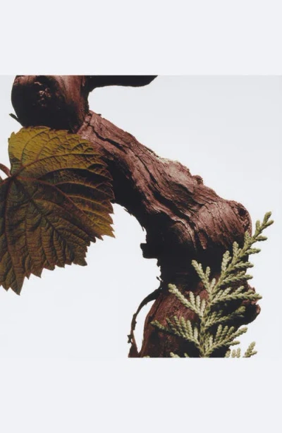 Jo Malone London ™ Cypress & Grapevine Classic Candle In No Color