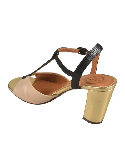 Chie Mihara Pumps In Multi