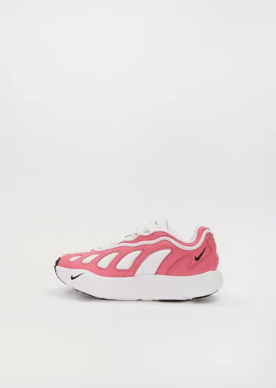 Comme Des Garçons Homme Deux Comme Des Garçons Homme Plus Sneakers In Pink/white