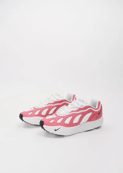 Comme Des Garçons Homme Deux Comme Des Garçons Homme Plus Sneakers In Pink/white