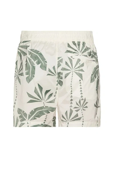 Onia Charles 5 Swim Trunk In Multi