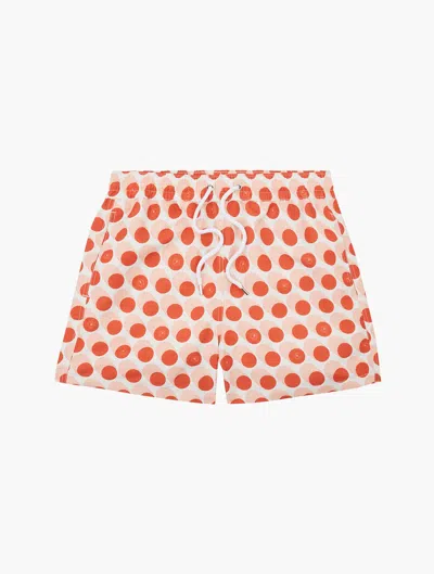 Frescobol Carioca Bola De Frescobol Sport Swim Shorts In Paprika