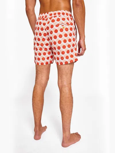 Frescobol Carioca Bola De Frescobol Sport Swim Shorts In Paprika