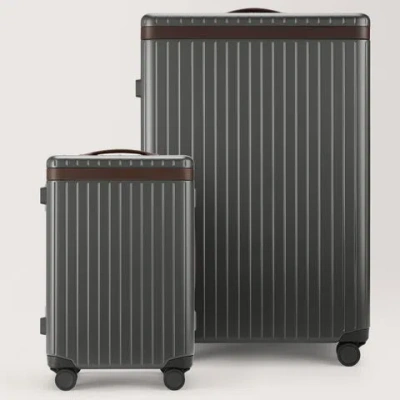 Carl Friedrik Check-in And Carry-on Luggage Set - Polycarbonate And Aluminium - Gray / Dark Brown