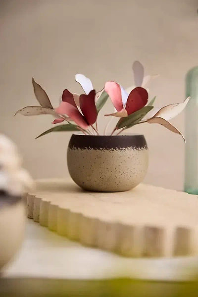 Terrain Dogwood Flower Metal Pot
