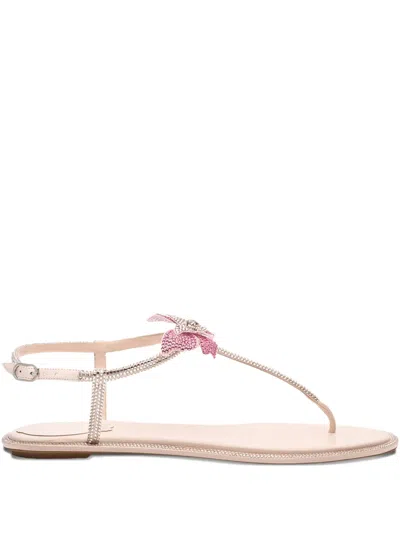 René Caovilla Rene Caovilla Fairy Pink Flat Sandal 10