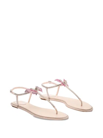 René Caovilla Rene Caovilla Fairy Pink Flat Sandal 10