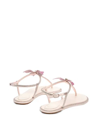 René Caovilla Rene Caovilla Fairy Pink Flat Sandal 10