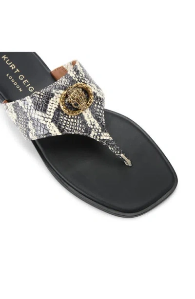 Kurt Geiger London Chelsea Flip Flop