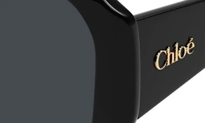 Chloé Round Acetate Sunglasses
